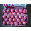 Apple fruit fresh